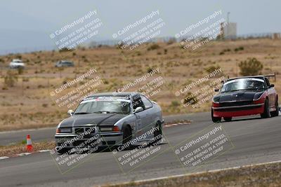 media/May-03-2025-Lucky Dog Racing (Sat) [[206de64b9d]]/Turn 6 (150pm-230pm)/